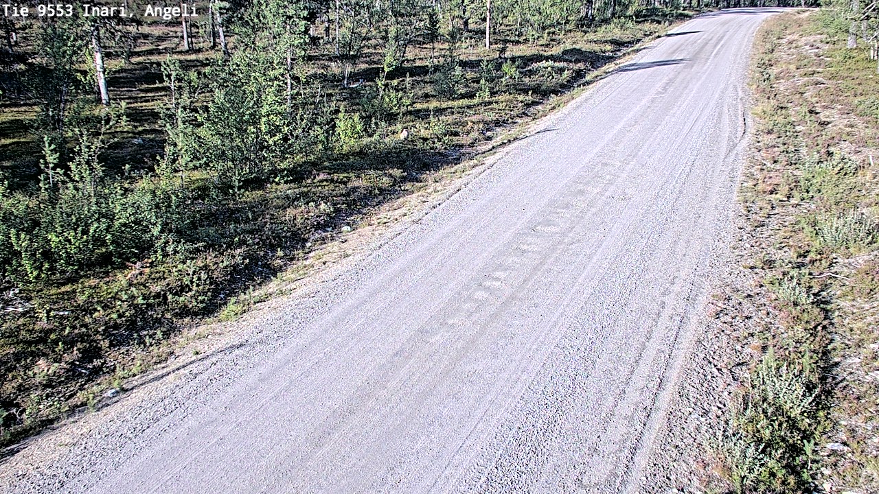 Weather Camera Image Road 9553 Inari, Angeli, Lintupuolivaara, Inari, Lappi