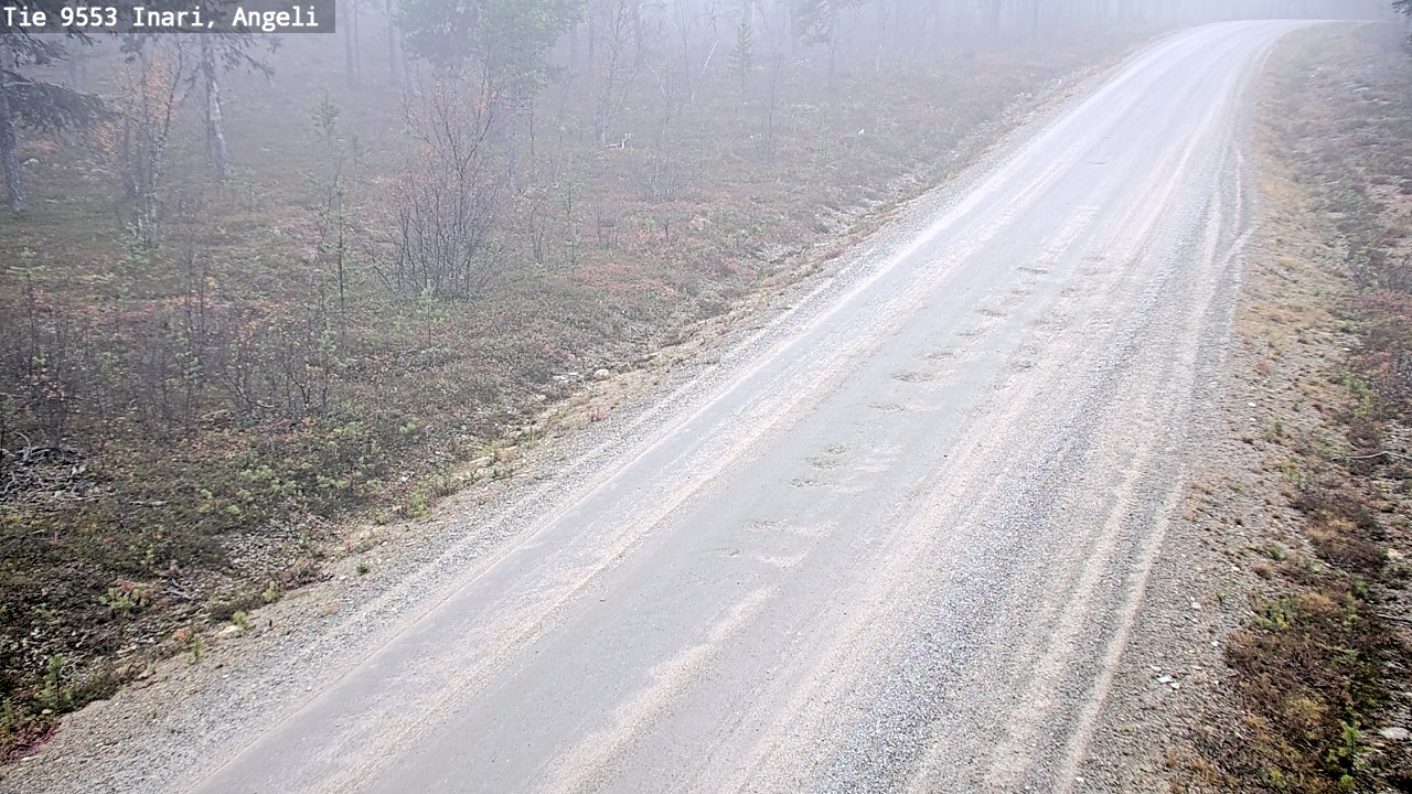 Weather Camera Image Road 9553 Inari, Angeli, Lintupuolivaara, Inari, Lappi