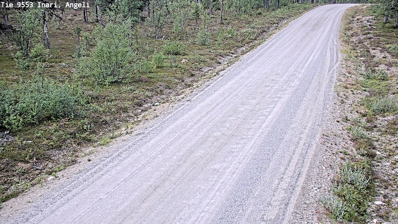 Weather Camera Image Road 9553 Inari, Angeli, Lintupuolivaara, Inari, Lappi