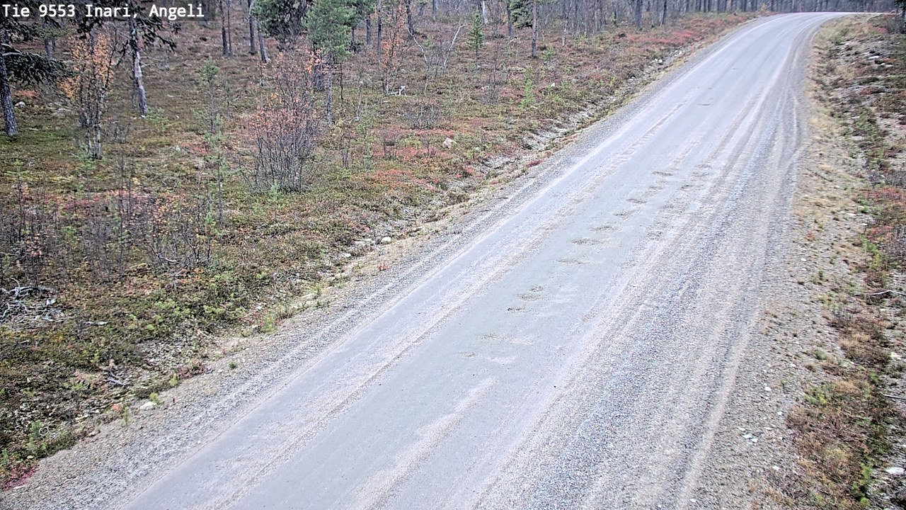 Kelikamerat Kuva Tie 9553 Inari, Angeli, Lintupuolivaara, Inari, Lappi