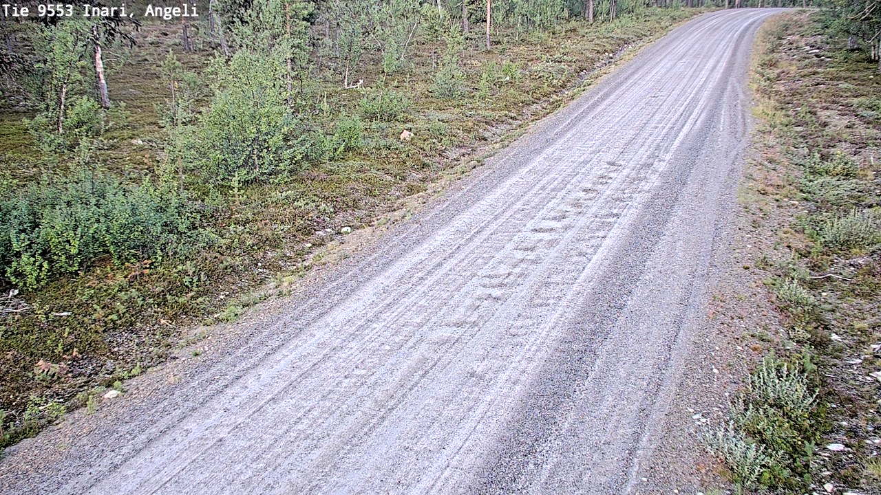 Kelikamerat Kuva Tie 9553 Inari, Angeli, Lintupuolivaara, Inari, Lappi