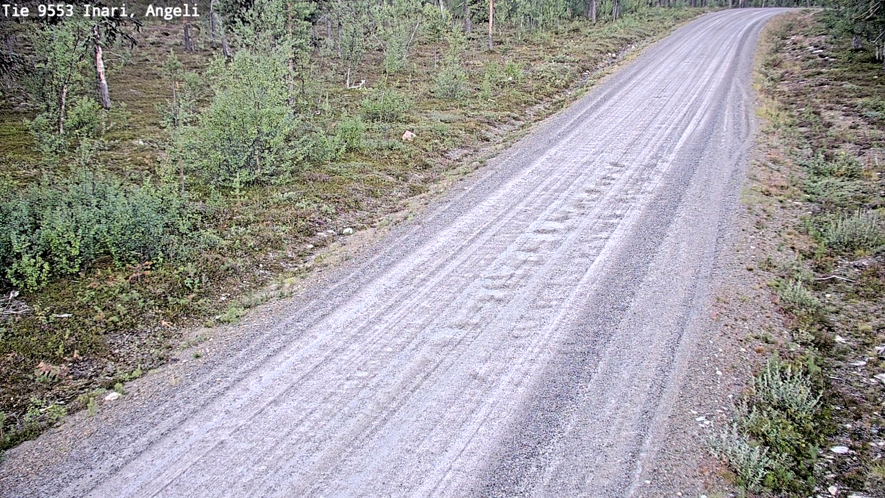Kelikamerat Kuva Tie 9553 Inari, Angeli, Lintupuolivaara, Inari, Lappi