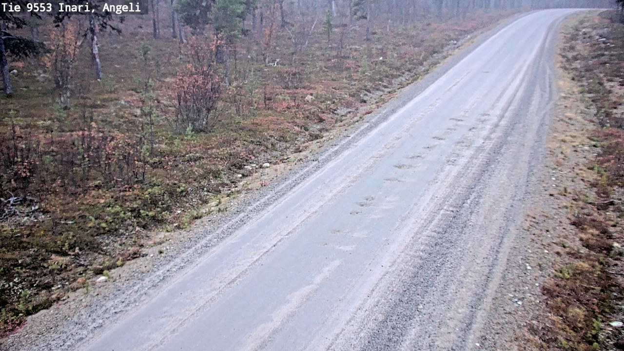 Kelikamerat Kuva Tie 9553 Inari, Angeli, Lintupuolivaara, Inari, Lappi