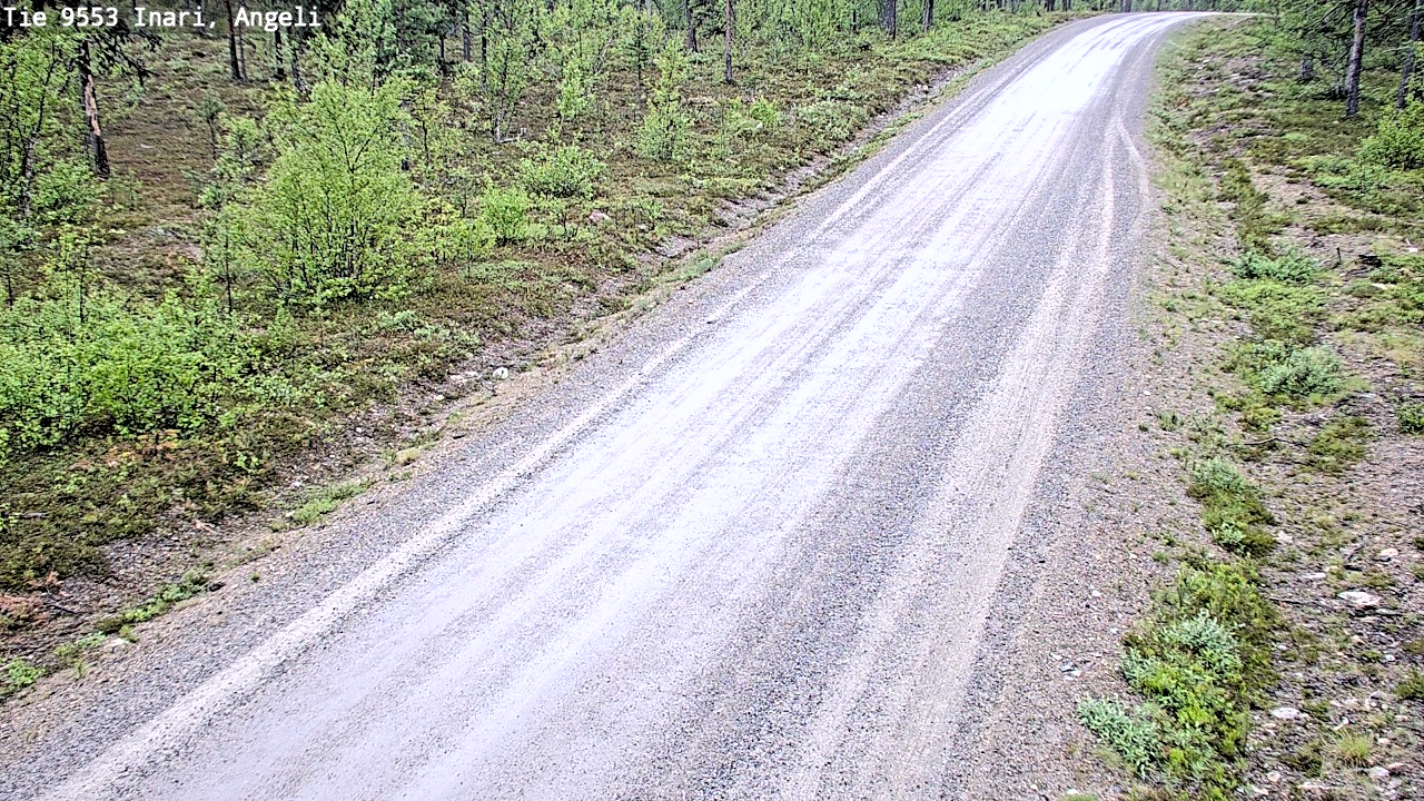 Weather Camera Image Väg 9553 Inari, Angeli, Lintupuolivaara, Inari, Lappi