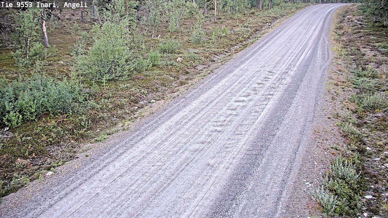 Kelikamerat Kuva Tie 9553 Inari, Angeli, Lintupuolivaara, Inari, Lappi