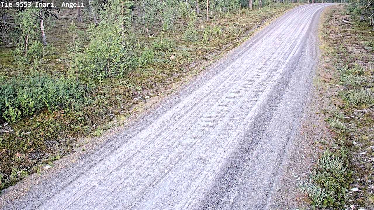 Weather Camera Image Road 9553 Inari, Angeli, Lintupuolivaara, Inari, Lappi