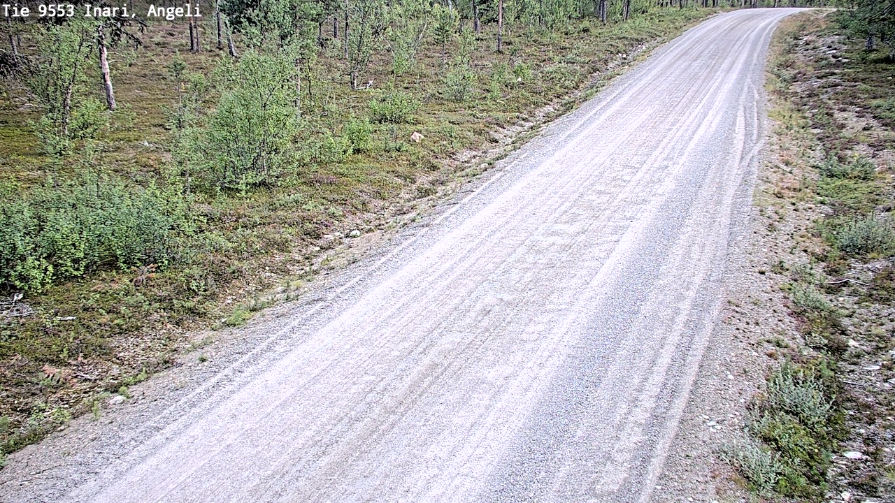 Kelikamerat Kuva Tie 9553 Inari, Angeli, Lintupuolivaara, Inari, Lappi