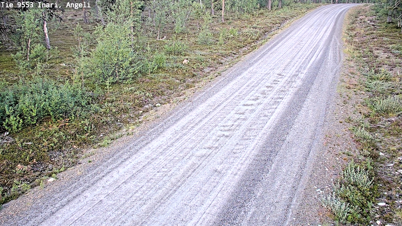 Kelikamerat Kuva Tie 9553 Inari, Angeli, Lintupuolivaara, Inari, Lappi