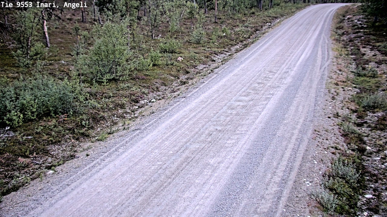 Kelikamerat Kuva Tie 9553 Inari, Angeli, Lintupuolivaara, Inari, Lappi