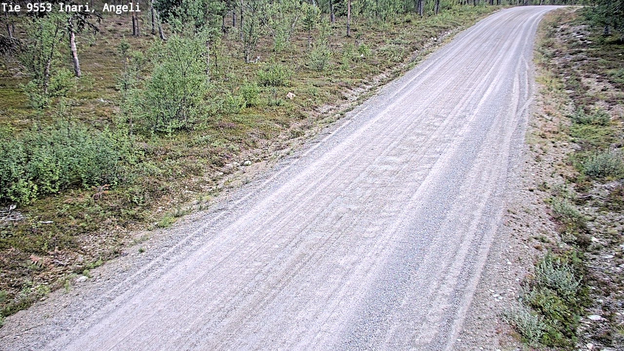 Kelikamerat Kuva Tie 9553 Inari, Angeli, Lintupuolivaara, Inari, Lappi