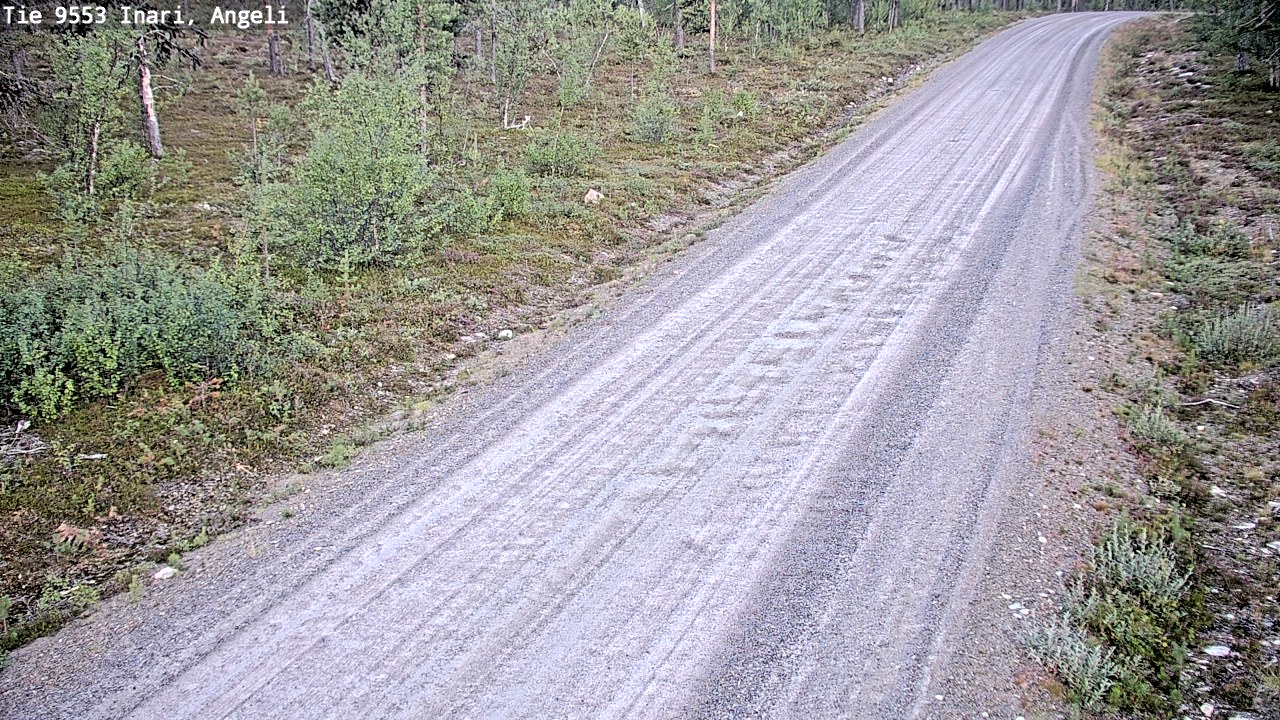 Kelikamerat Kuva Tie 9553 Inari, Angeli, Lintupuolivaara, Inari, Lappi