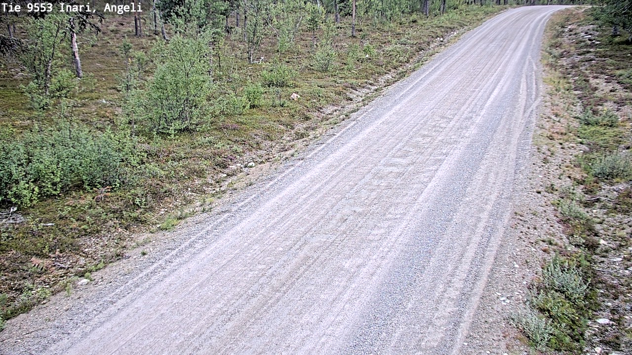 Kelikamerat Kuva Tie 9553 Inari, Angeli, Lintupuolivaara, Inari, Lappi