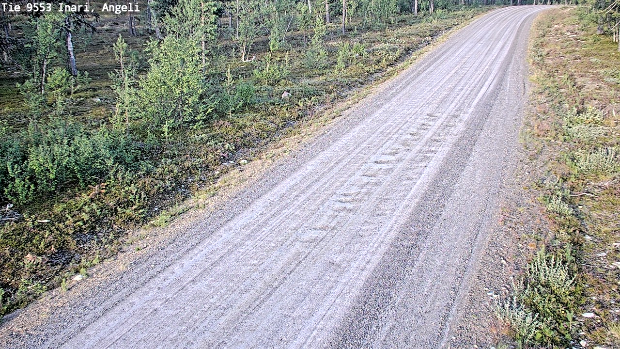 Weather Camera Image Road 9553 Inari, Angeli, Lintupuolivaara, Inari, Lappi