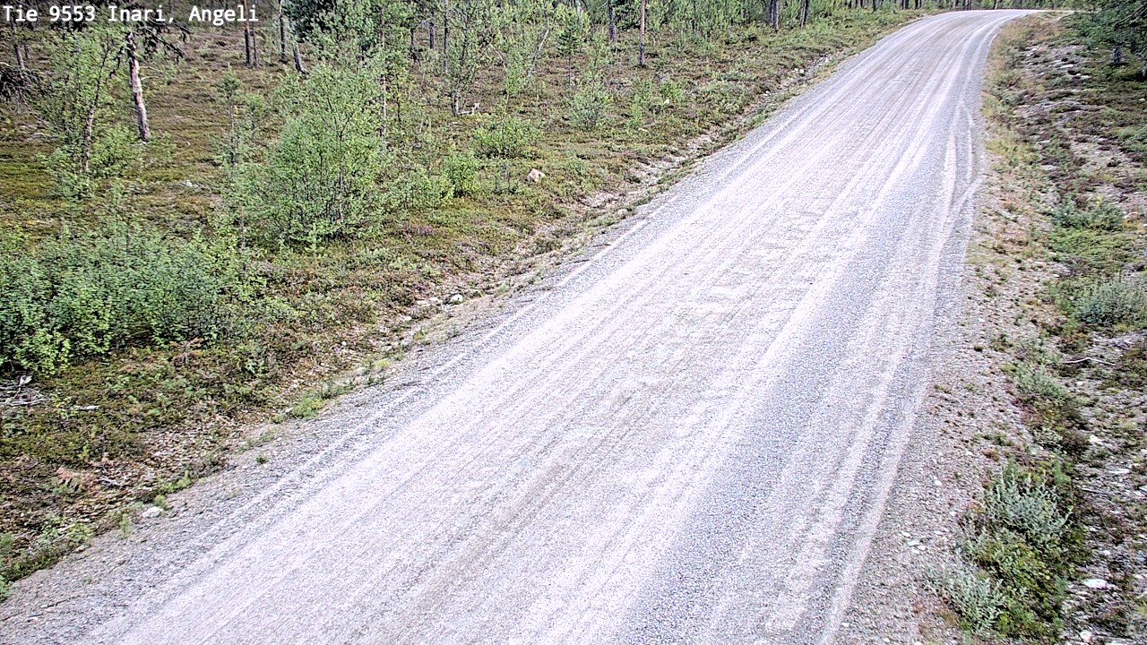 Kelikamerat Kuva Tie 9553 Inari, Angeli, Lintupuolivaara, Inari, Lappi