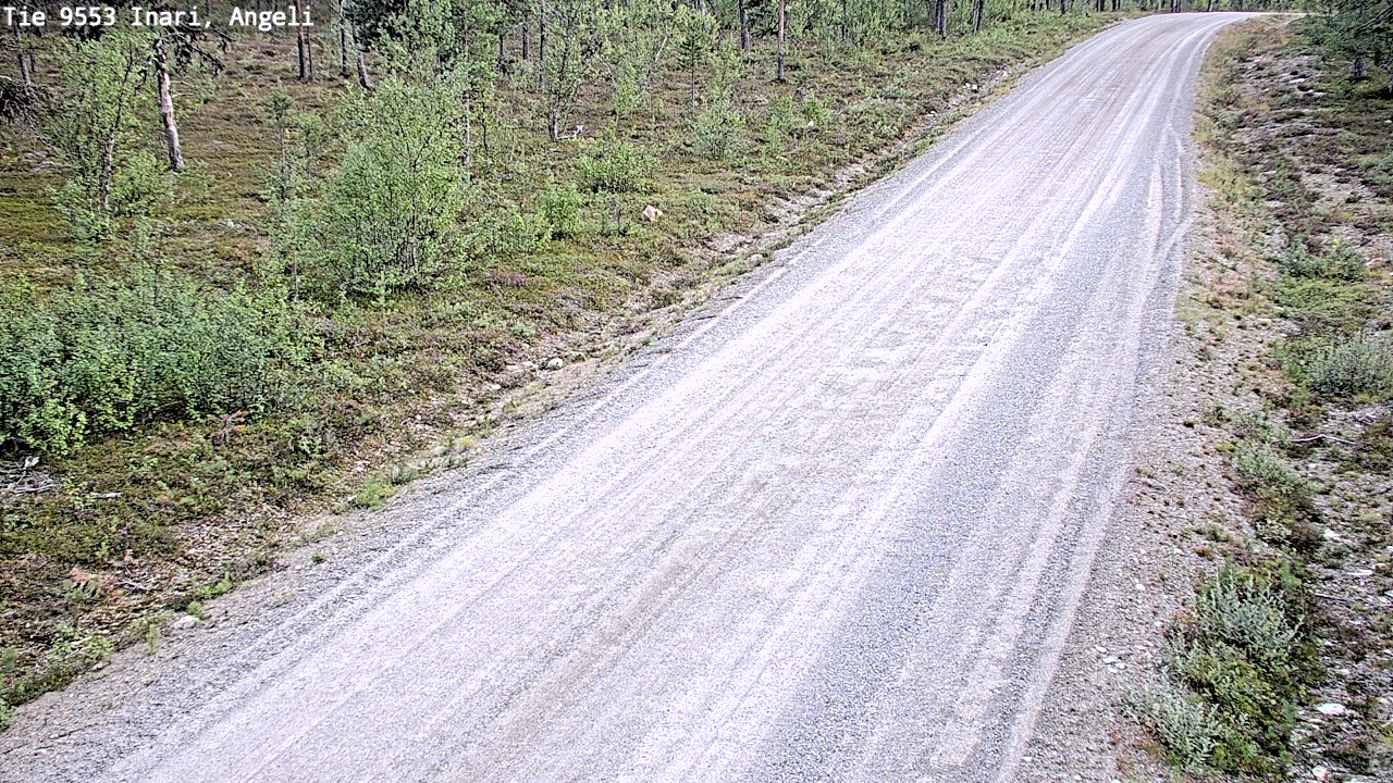 Kelikamerat Kuva Tie 9553 Inari, Angeli, Lintupuolivaara, Inari, Lappi