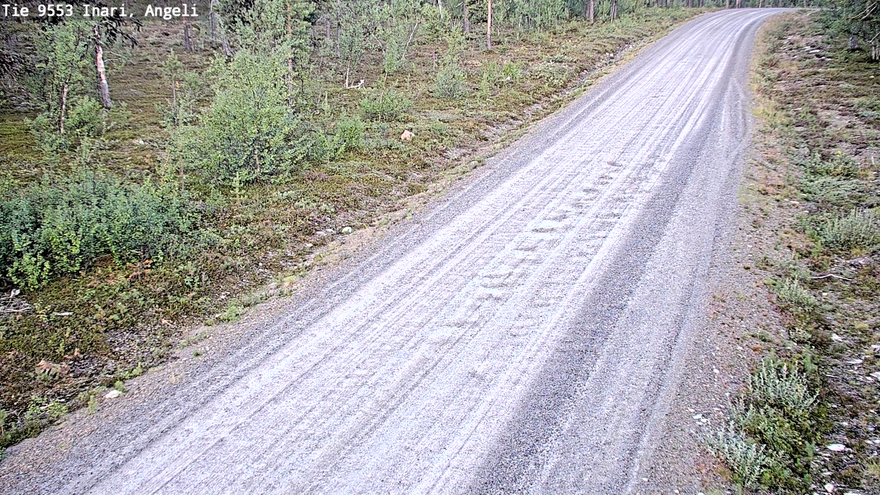 Kelikamerat Kuva Tie 9553 Inari, Angeli, Lintupuolivaara, Inari, Lappi
