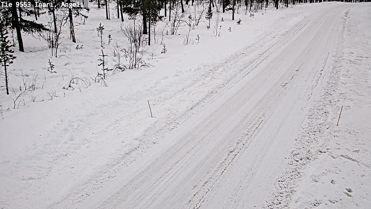 Weather Camera Image Road 9553 Inari, Angeli, Lintupuolivaara, Inari, Lappi
