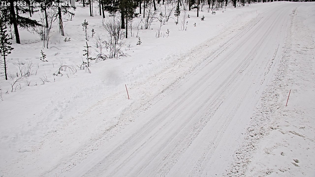Kelikamerat Kuva Tie 9553 Inari, Angeli, Lintupuolivaara, Inari, Lappi