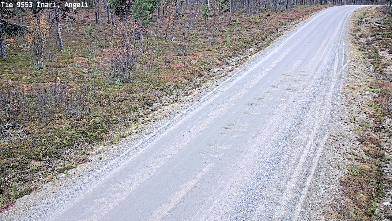 Kelikamerat Kuva Tie 9553 Inari, Angeli, Lintupuolivaara, Inari, Lappi
