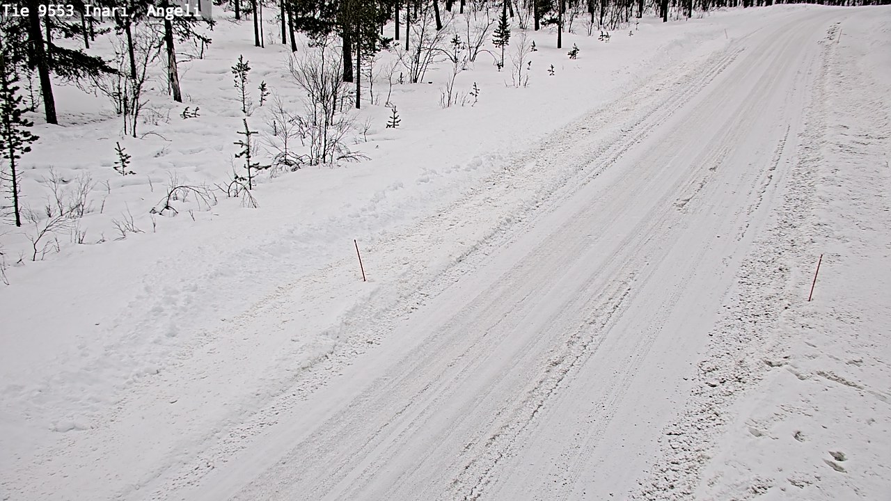 Weather Camera Image Road 9553 Inari, Angeli, Lintupuolivaara, Inari, Lappi