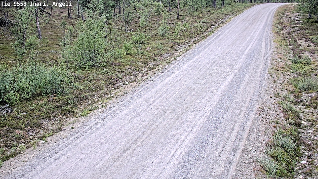 Kelikamerat Kuva Tie 9553 Inari, Angeli, Lintupuolivaara, Inari, Lappi