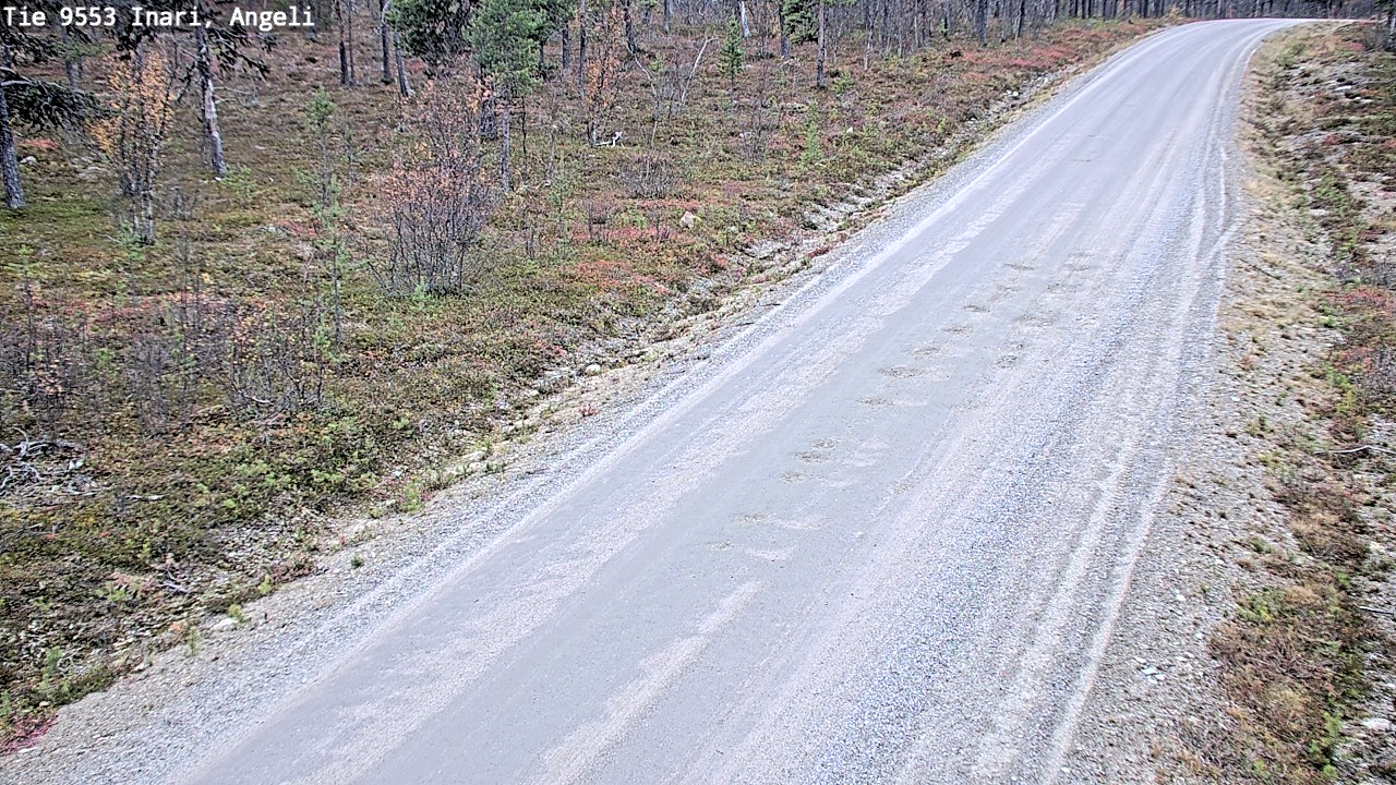 Kelikamerat Kuva Tie 9553 Inari, Angeli, Lintupuolivaara, Inari, Lappi