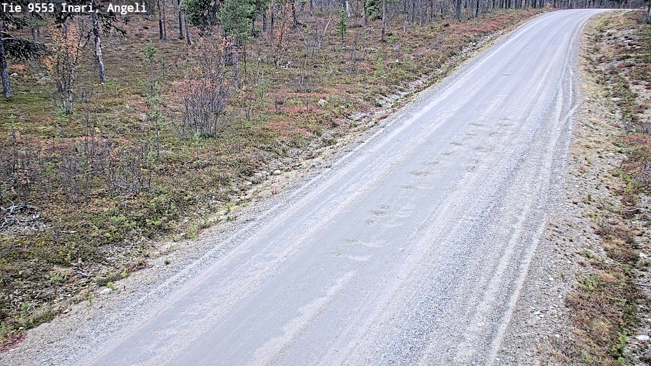 Kelikamerat Kuva Tie 9553 Inari, Angeli, Lintupuolivaara, Inari, Lappi