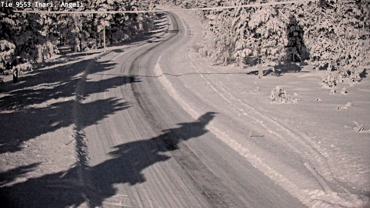 Kelikamerat Kuva Tie 9553 Inari, Angeli, Lintupuolivaara, Inari, Lappi