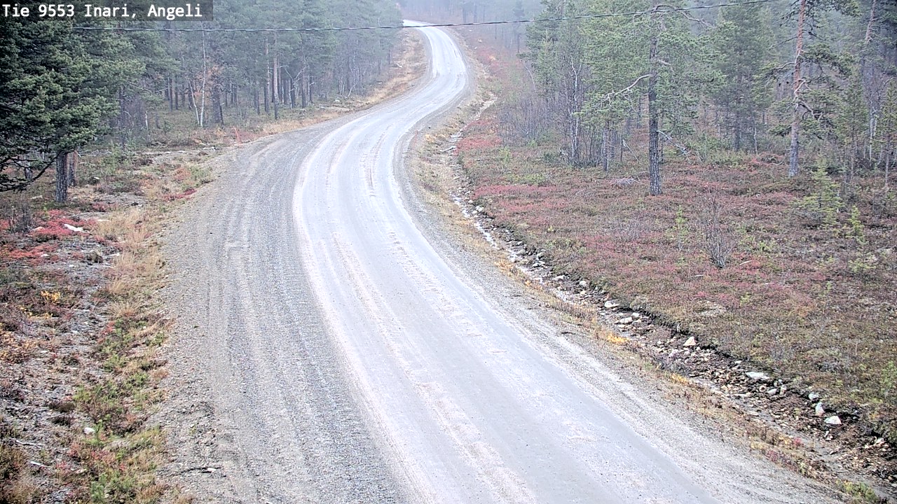 Kelikamerat Kuva Tie 9553 Inari, Angeli, Lintupuolivaara, Inari, Lappi
