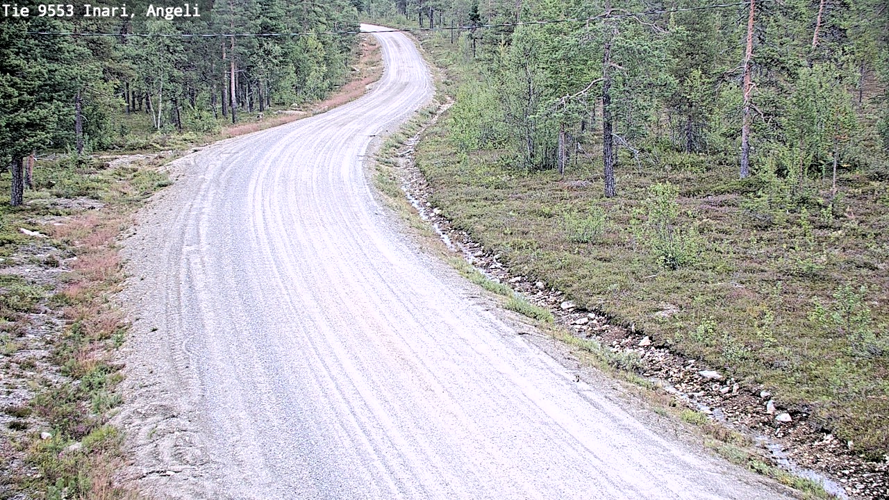 Weather Camera Image Road 9553 Inari, Angeli, Lintupuolivaara, Inari, Lappi