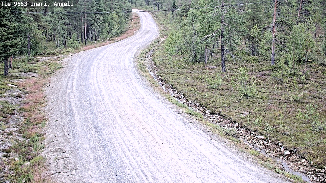 Weather Camera Image Road 9553 Inari, Angeli, Lintupuolivaara, Inari, Lappi