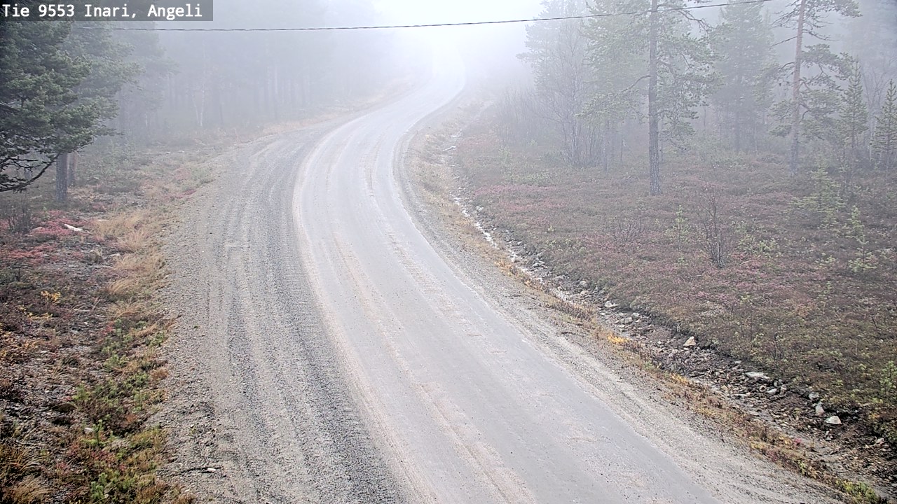 Weather Camera Image Road 9553 Inari, Angeli, Lintupuolivaara, Inari, Lappi