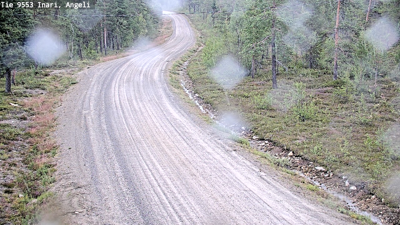 Weather Camera Image Road 9553 Inari, Angeli, Lintupuolivaara, Inari, Lappi