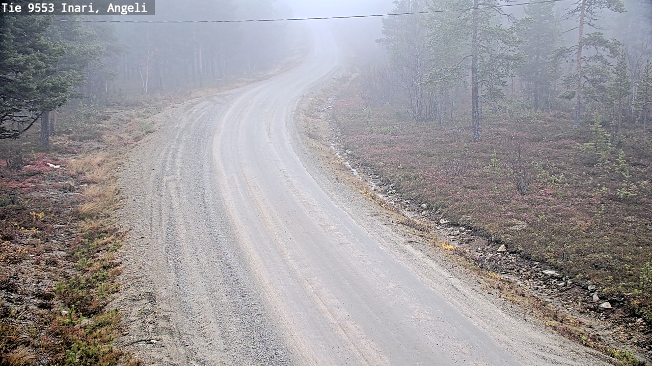 Weather Camera Image Road 9553 Inari, Angeli, Lintupuolivaara, Inari, Lappi