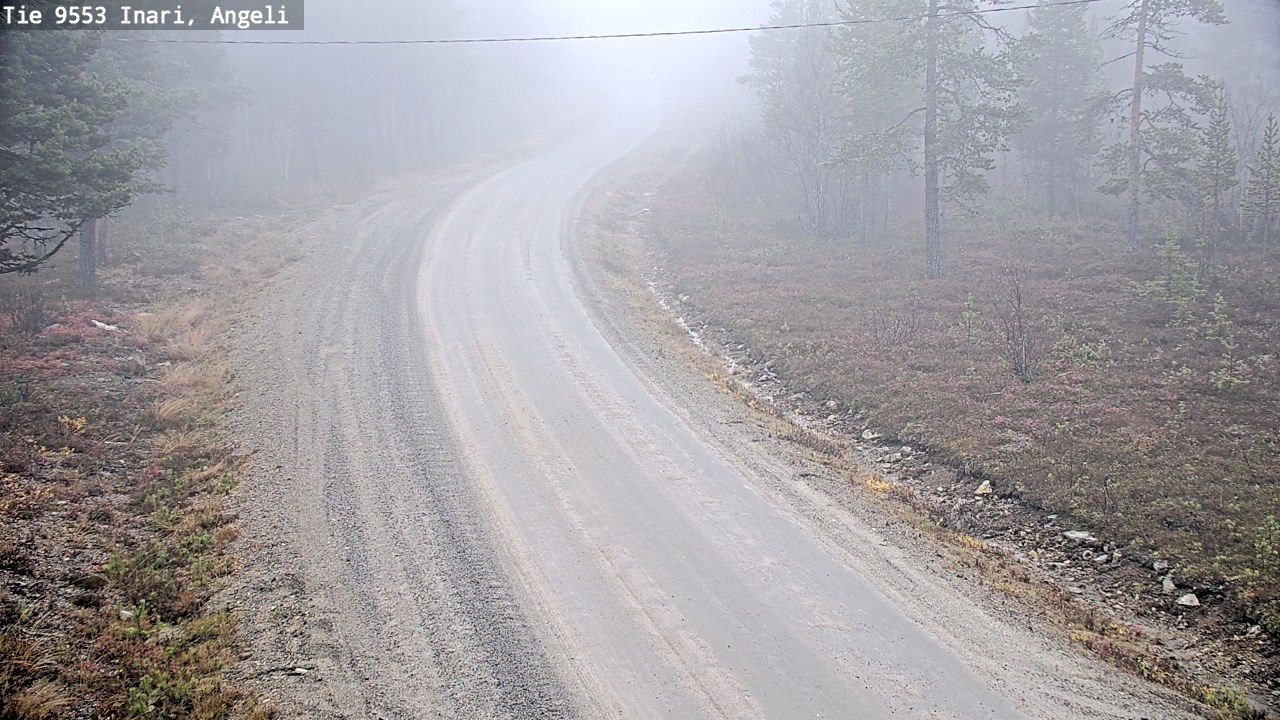 Weather Camera Image Road 9553 Inari, Angeli, Lintupuolivaara, Inari, Lappi