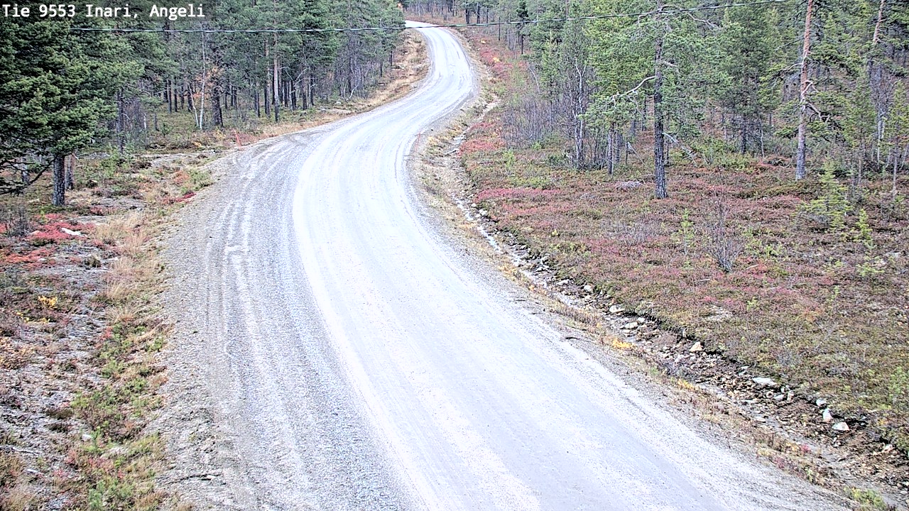 Kelikamerat Kuva Tie 9553 Inari, Angeli, Lintupuolivaara, Inari, Lappi