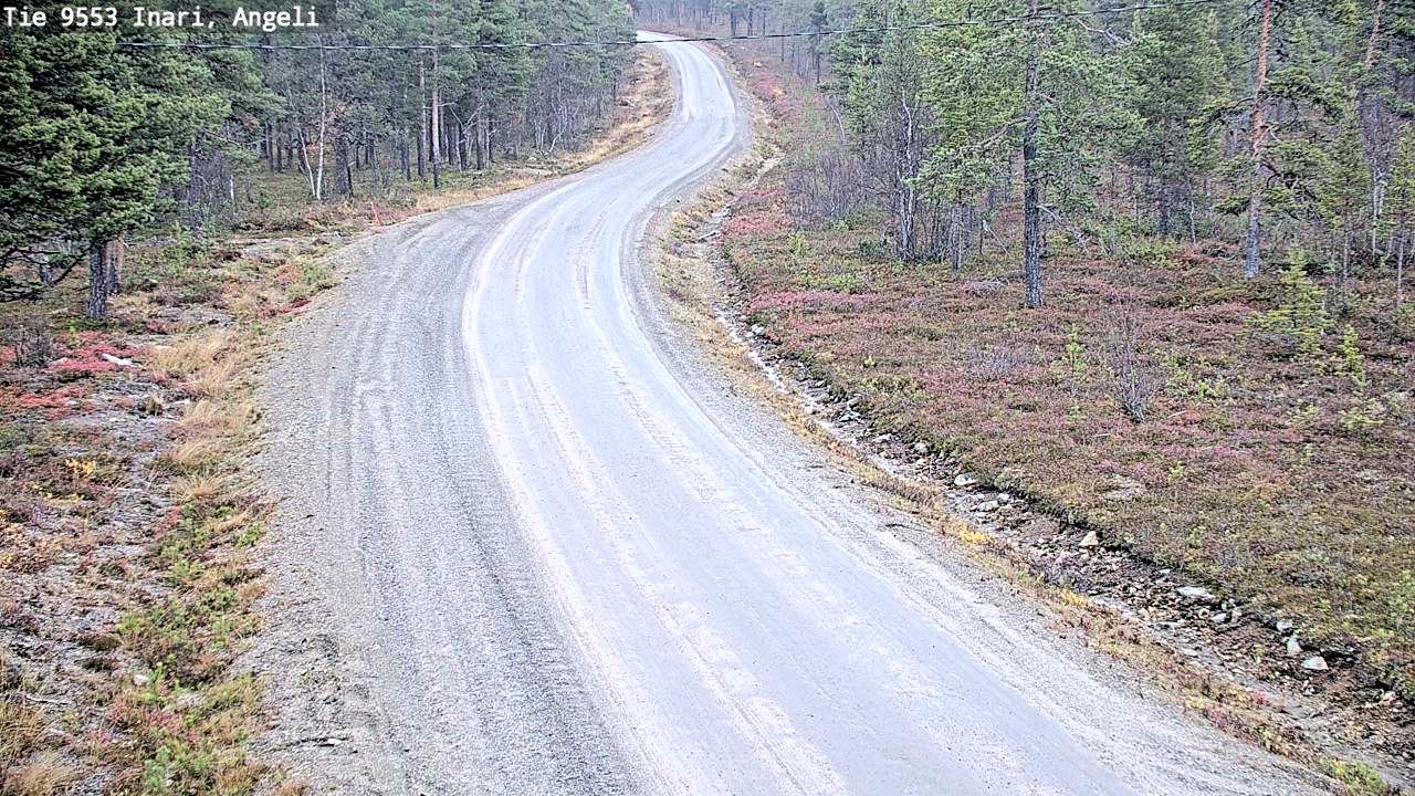 Weather Camera Image Road 9553 Inari, Angeli, Lintupuolivaara, Inari, Lappi