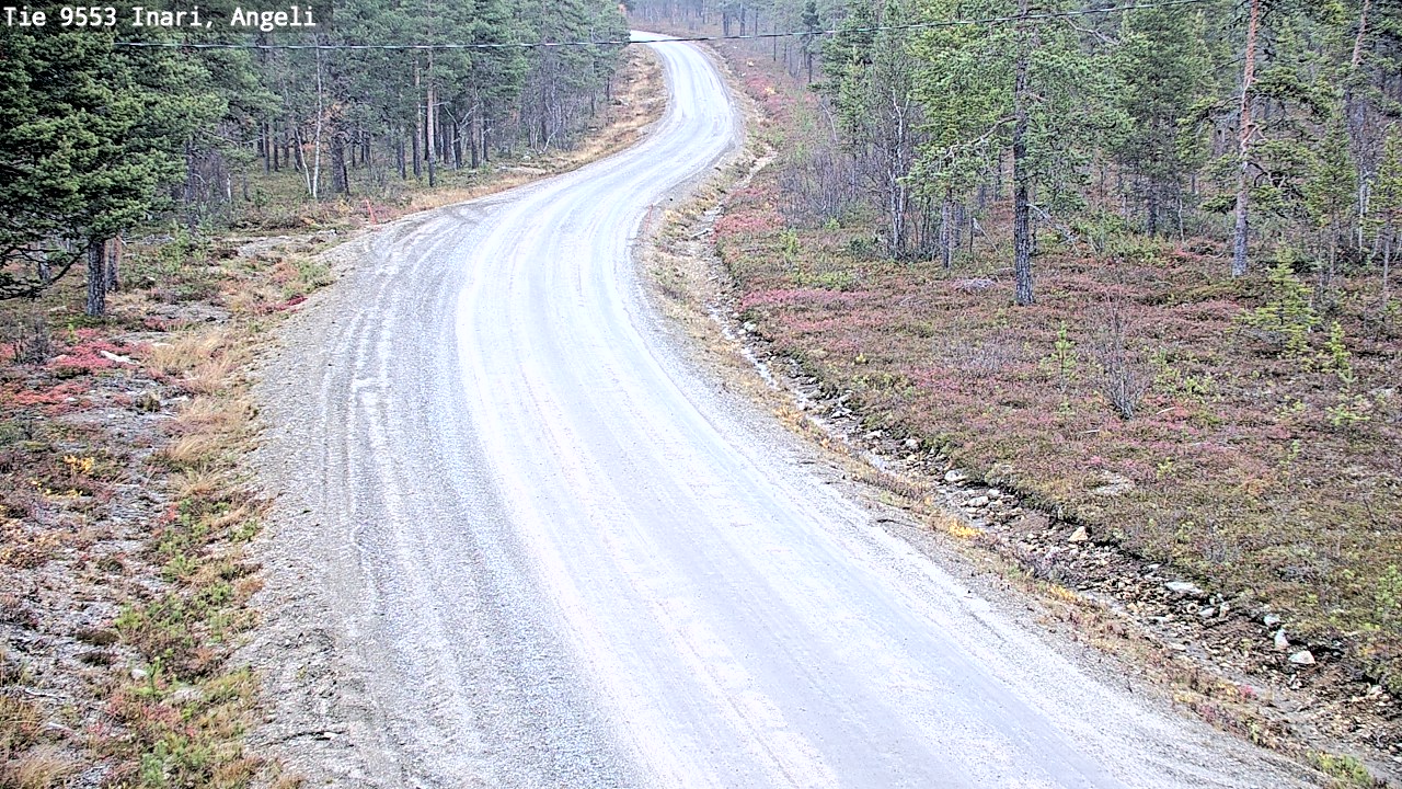 Weather Camera Image Road 9553 Inari, Angeli, Lintupuolivaara, Inari, Lappi