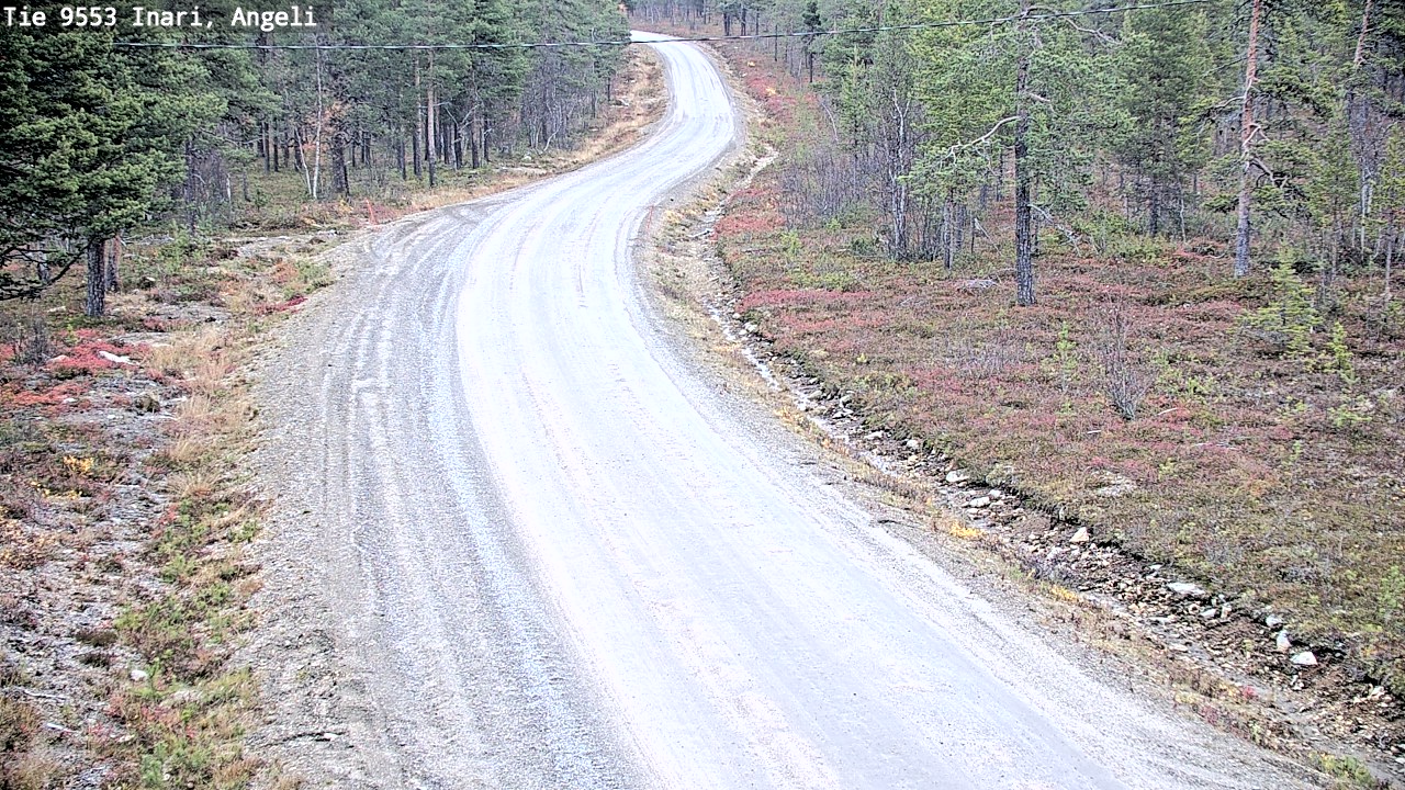 Kelikamerat Kuva Tie 9553 Inari, Angeli, Lintupuolivaara, Inari, Lappi