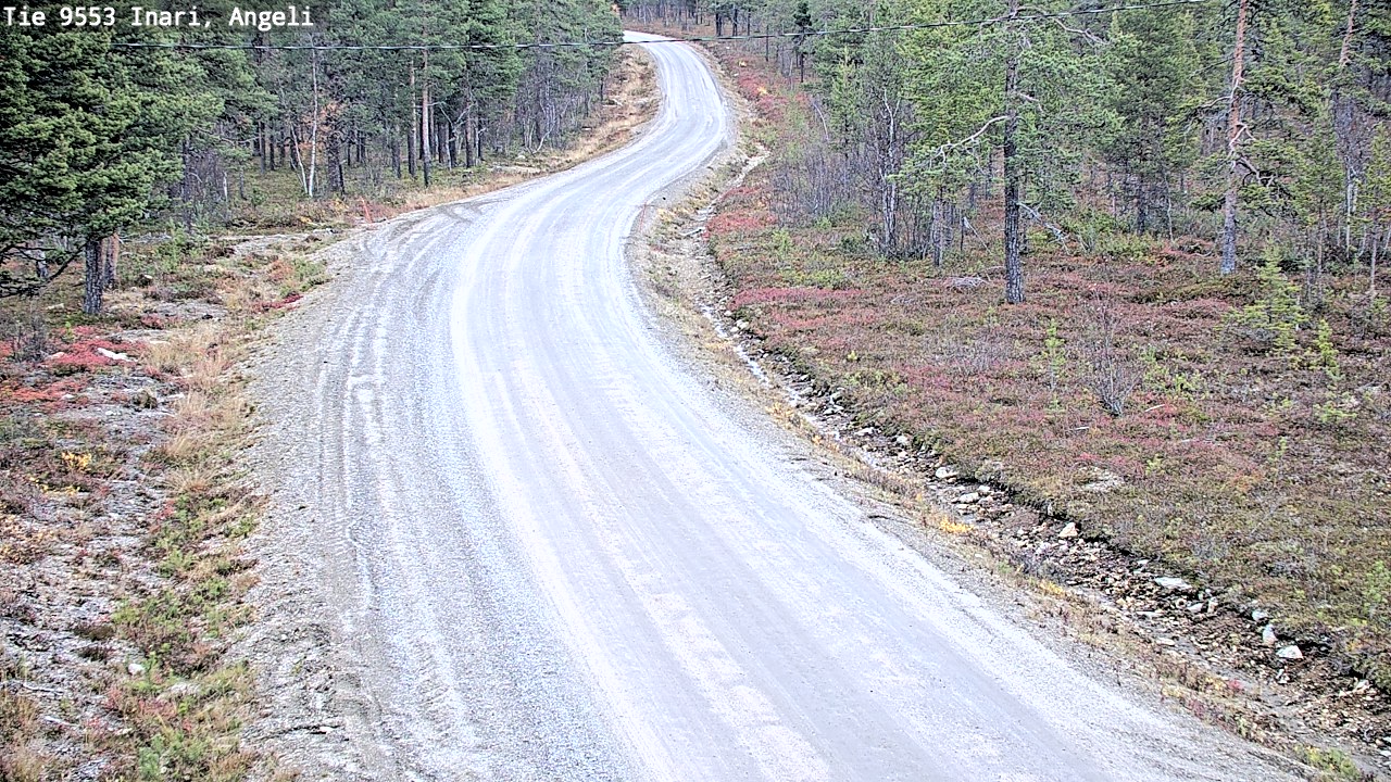 Kelikamerat Kuva Tie 9553 Inari, Angeli, Lintupuolivaara, Inari, Lappi
