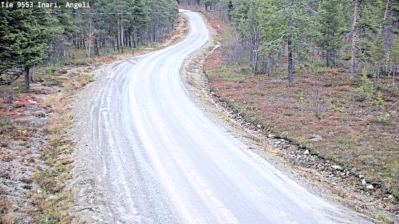 Kelikamerat Kuva Tie 9553 Inari, Angeli, Lintupuolivaara, Inari, Lappi