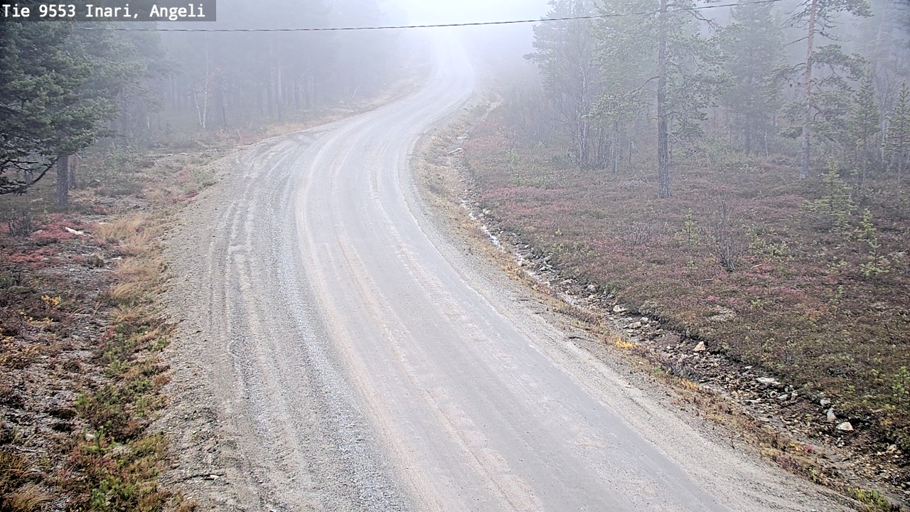 Weather Camera Image Road 9553 Inari, Angeli, Lintupuolivaara, Inari, Lappi