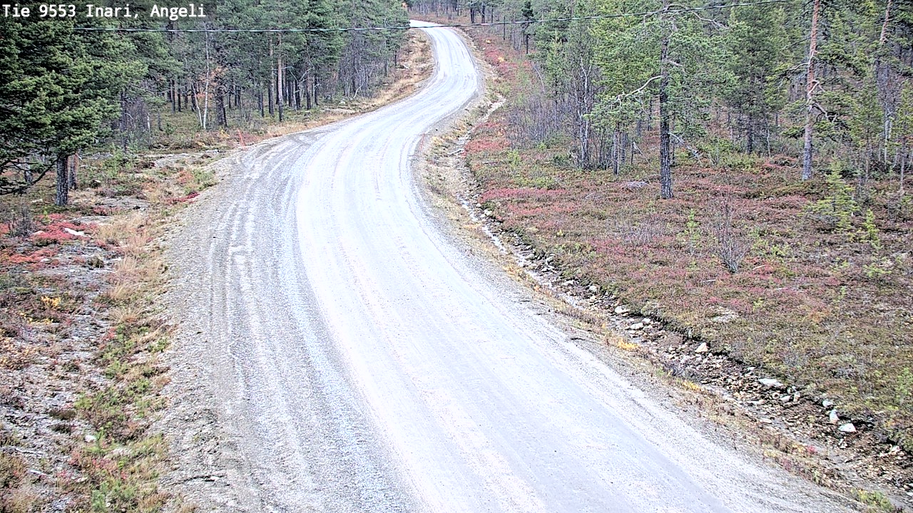Kelikamerat Kuva Tie 9553 Inari, Angeli, Lintupuolivaara, Inari, Lappi