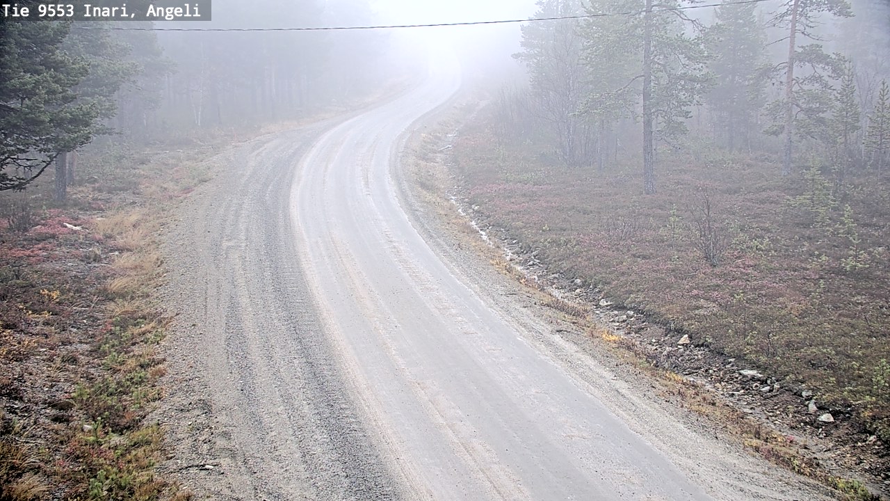Weather Camera Image Road 9553 Inari, Angeli, Lintupuolivaara, Inari, Lappi