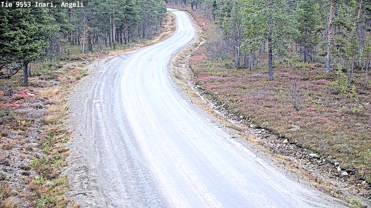 Weather Camera Image Road 9553 Inari, Angeli, Lintupuolivaara, Inari, Lappi