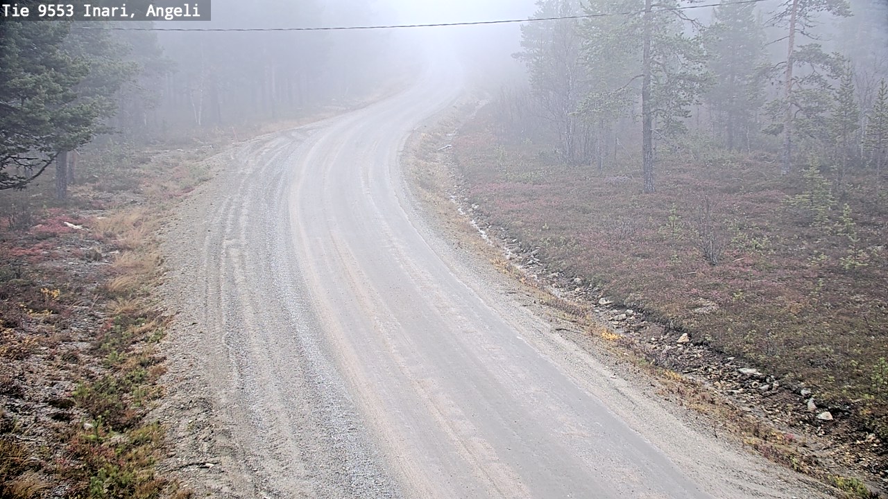 Weather Camera Image Road 9553 Inari, Angeli, Lintupuolivaara, Inari, Lappi