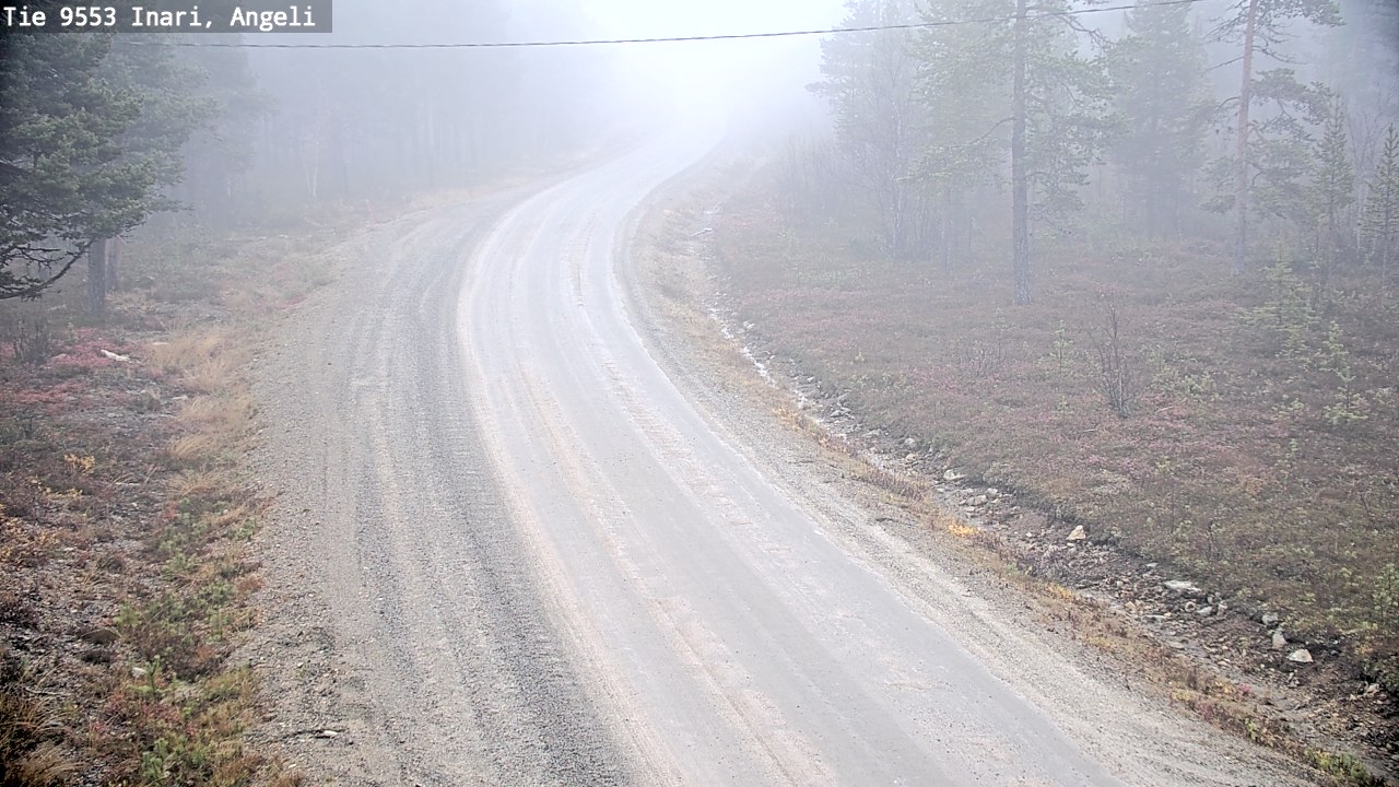 Weather Camera Image Road 9553 Inari, Angeli, Lintupuolivaara, Inari, Lappi