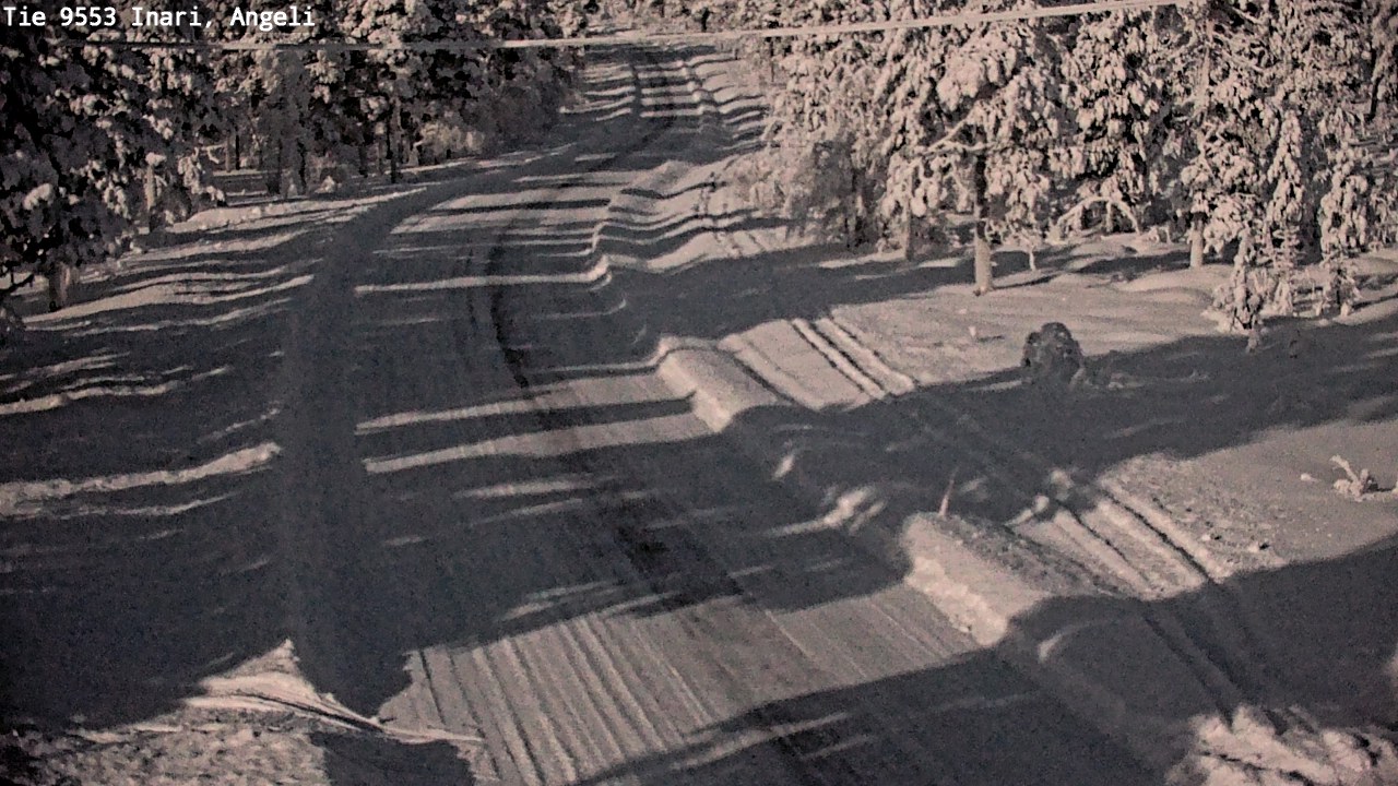 Kelikamerat Kuva Tie 9553 Inari, Angeli, Lintupuolivaara, Inari, Lappi