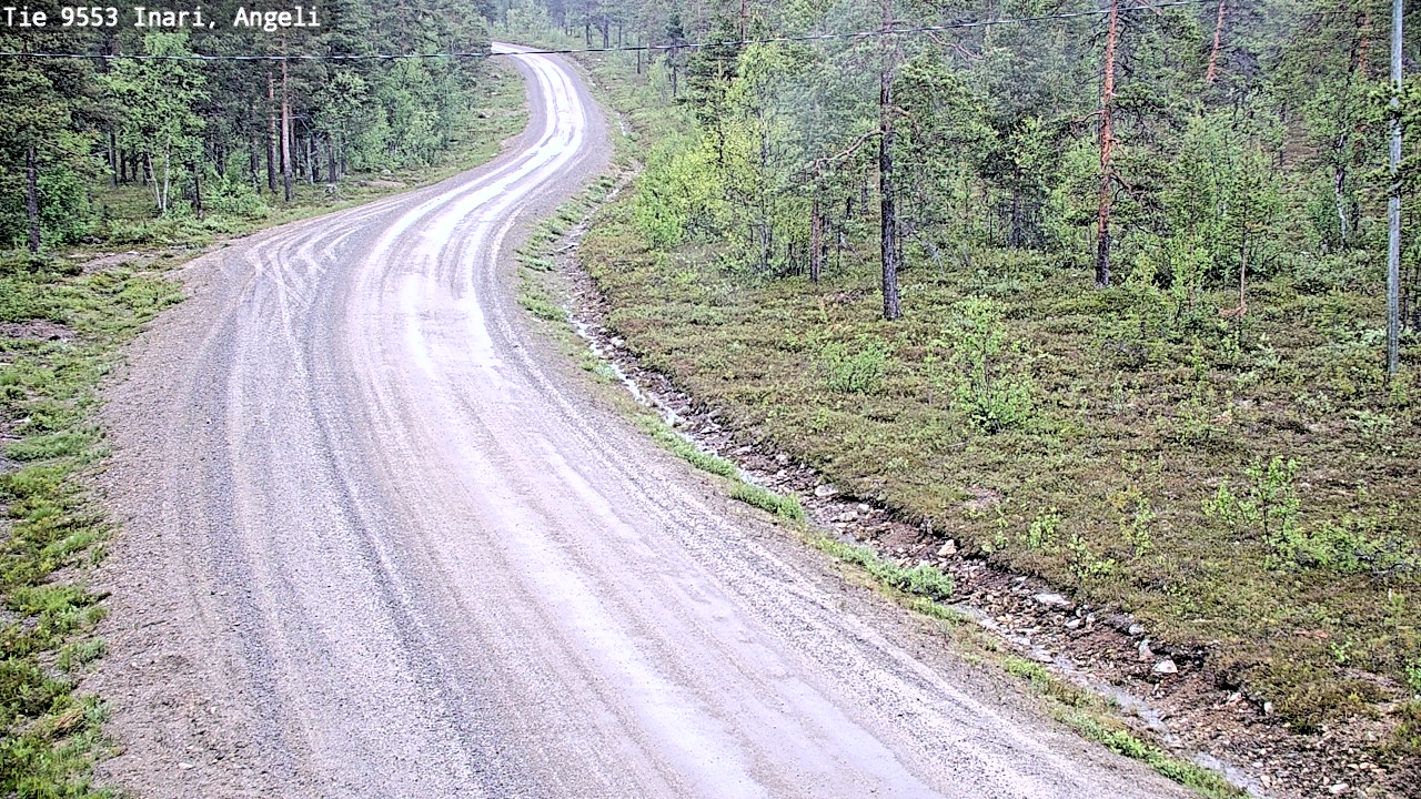 Weather Camera Image Väg 9553 Inari, Angeli, Lintupuolivaara, Inari, Lappi