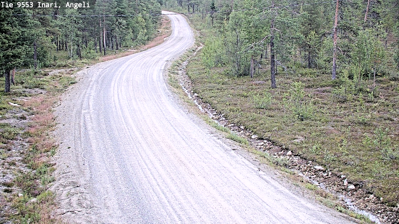Weather Camera Image Road 9553 Inari, Angeli, Lintupuolivaara, Inari, Lappi
